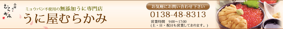 ���˲���餫�ߥȥåץڡ���