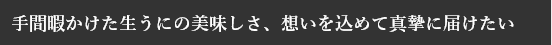 手間暇かけた生うにの美味しさ、想いを込めて真摯に届けたい