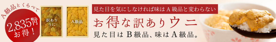 当店一番人気 お得な訳ありウニ