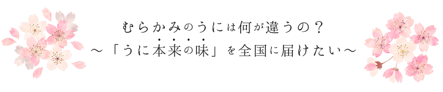 むらかみのうには何が違うの？
～「うに本来の味」を全国に届けたい～