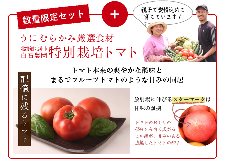 数量限定セット うにむらかみ厳選食材 北海道北斗市白石農園特別栽培トマト