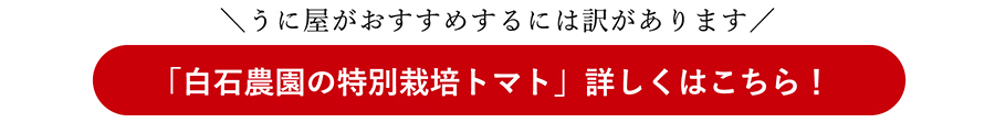 うに屋がおすすめするには訳があります 「白石農園の特別栽培トマト」詳しくはこちら!