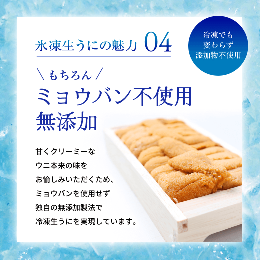 氷凍生うにの魅力04 ミョウバン不使用無添加
