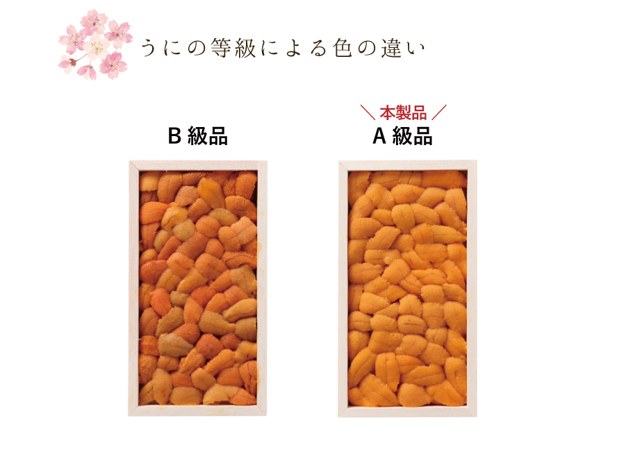 無添加生うに 木箱 80g うに屋むらかみ