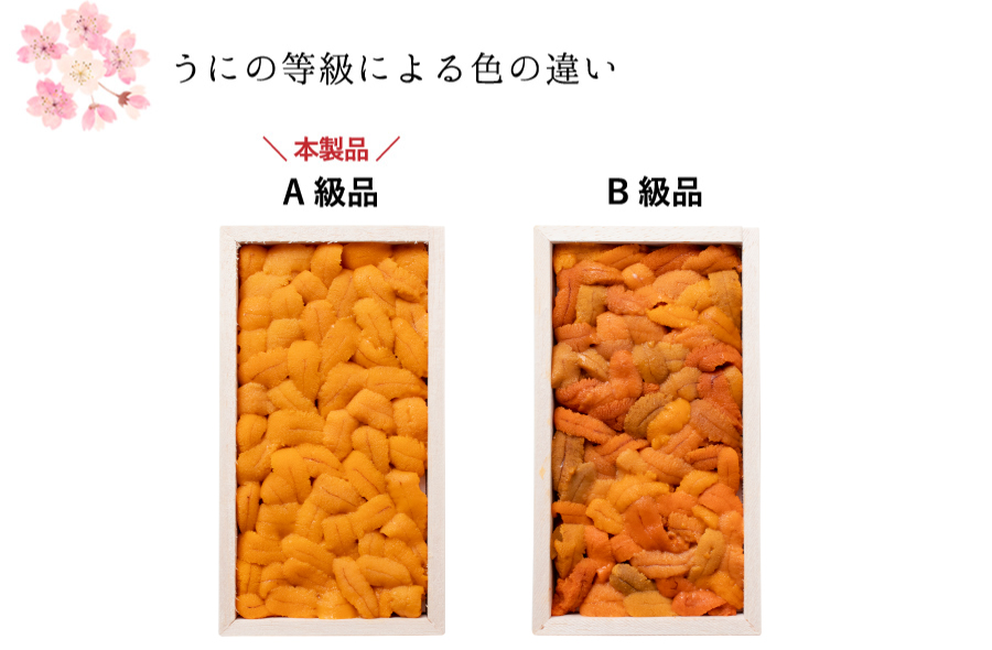 うにの等級による色の違い