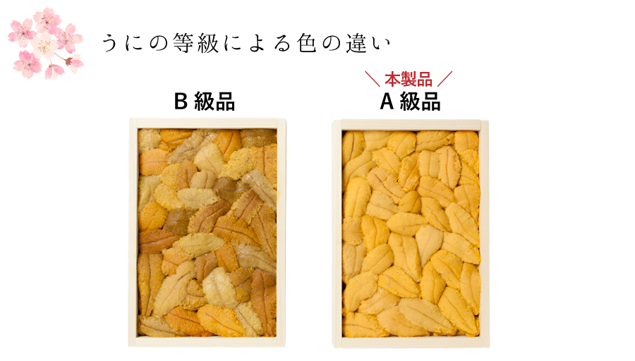 うにの等級による色の違い