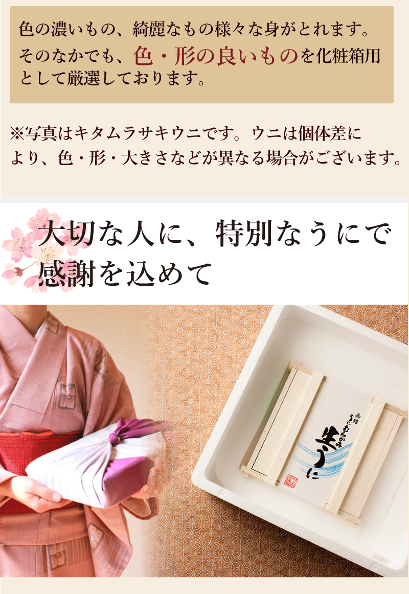 ムラサキウニ １０枚セット  すぐに発送します 鮮魚通販［豊洲 Okawari 鮮魚店］殻付きウニ イガウニ