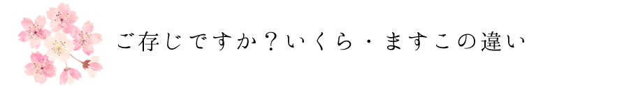 ご存知ですか？いくら・ますこの違い