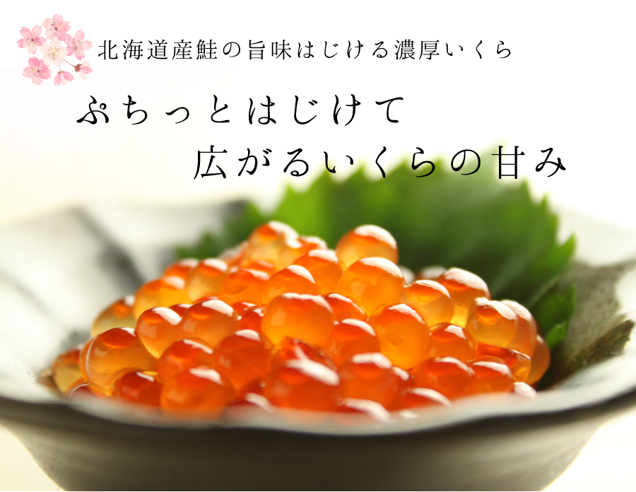北海道産鮭の旨味はじける濃厚いくら　ぷちっとはじけて広がるいくらの甘み