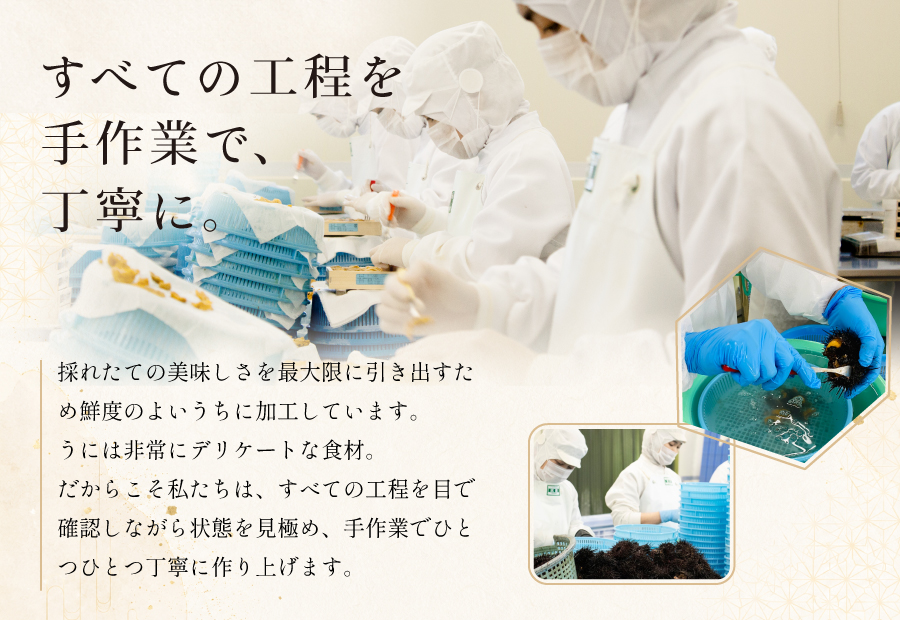 うにの製造すべての工程を丁寧に手作業で