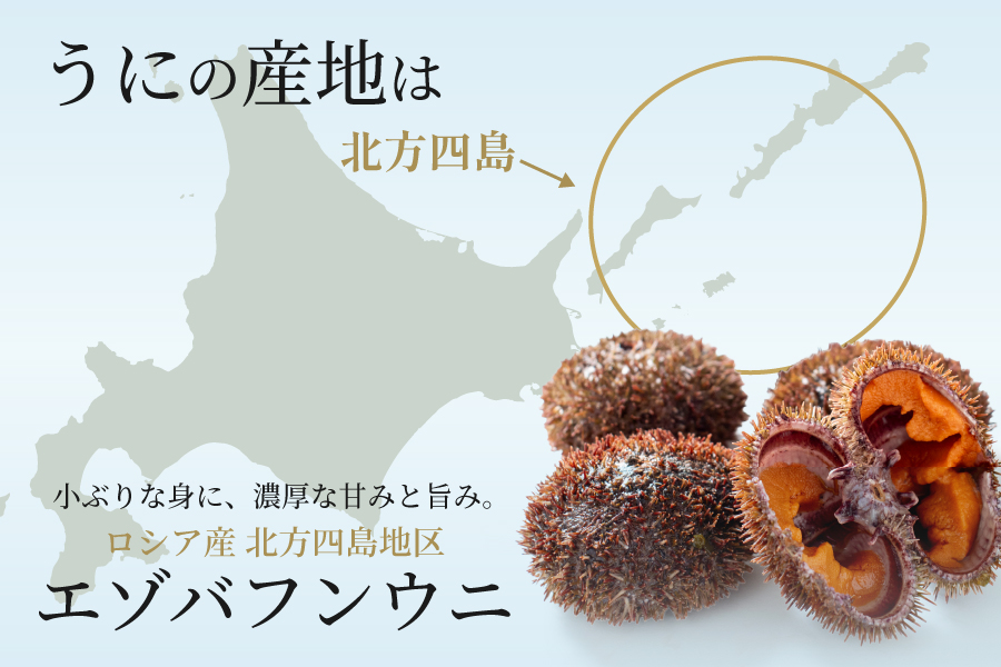 小ぶりな身に、濃厚な甘みと旨み。ロシア産北方四島地区のエゾバフンウニ使用。