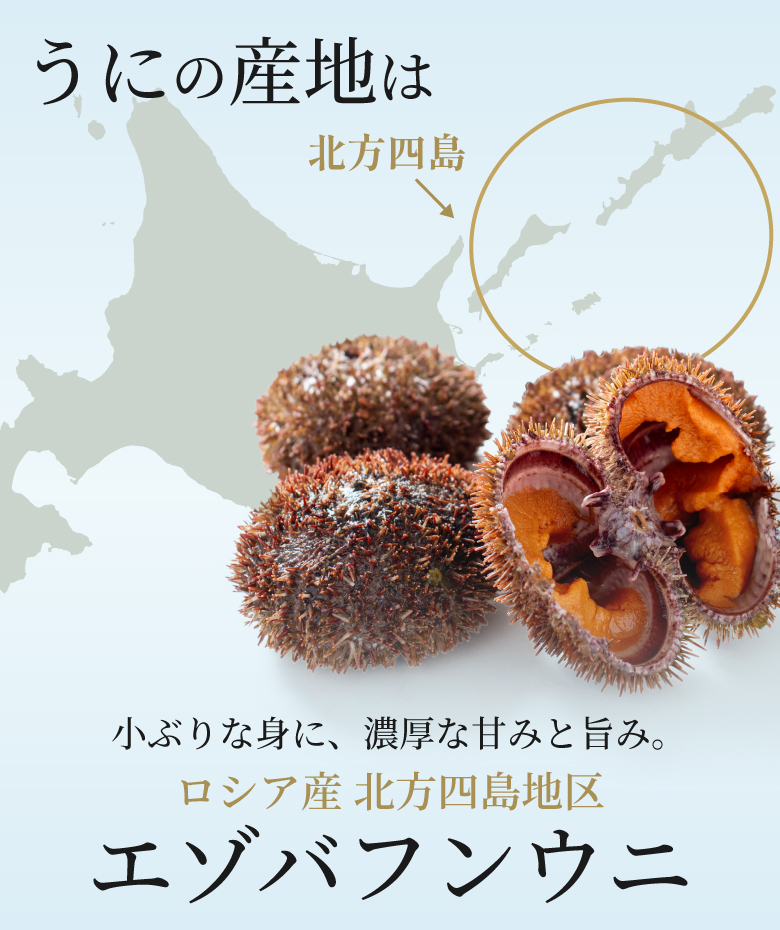 小ぶりな身に、濃厚な甘みと旨み。ロシア産北方四島地区のエゾバフンウニ使用。