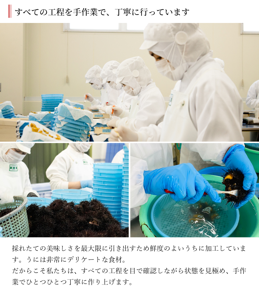製造工場説明