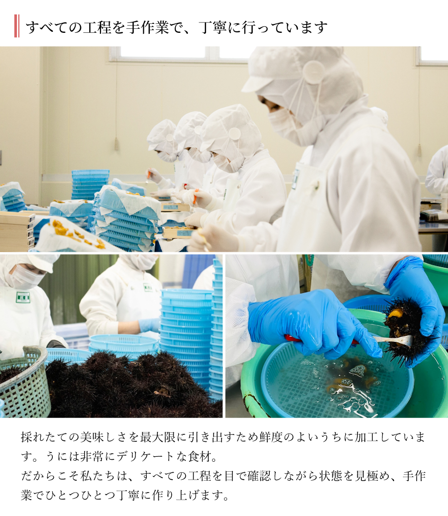 製造工場説明
