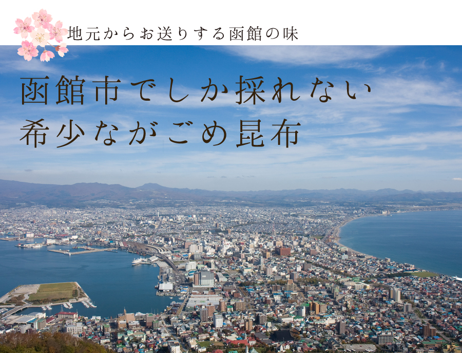地元からお送りする函館の味 函館市でしか採れな
い希少ながごめ昆布