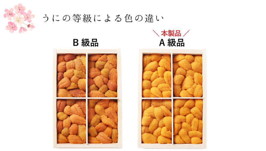 うにの等級による色の違い