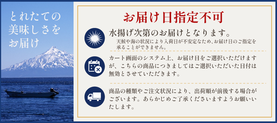 日付指定不可