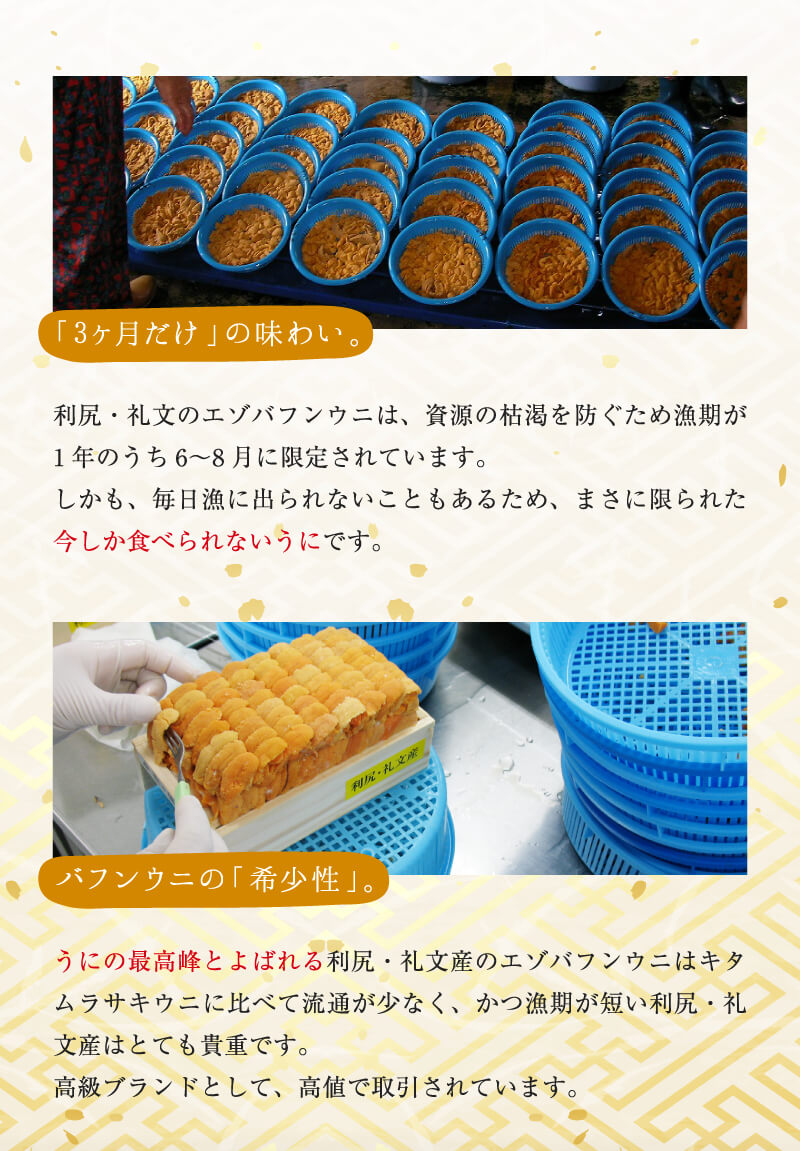 「3ヵ月だけ」の味わい。