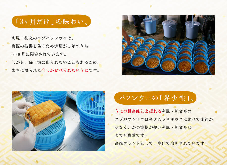 「3ヵ月だけ」の味わい。バフンウニの「希少性」。