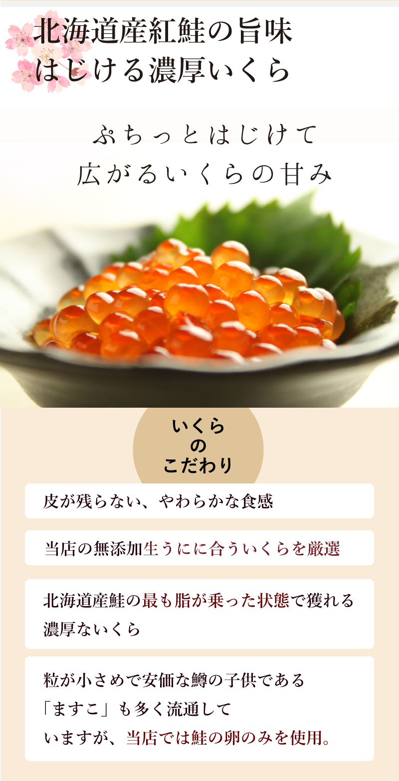 北海道産紅鮭の旨味　はじける濃厚いくら　ぷちっとはじけて広がるいくらの甘み