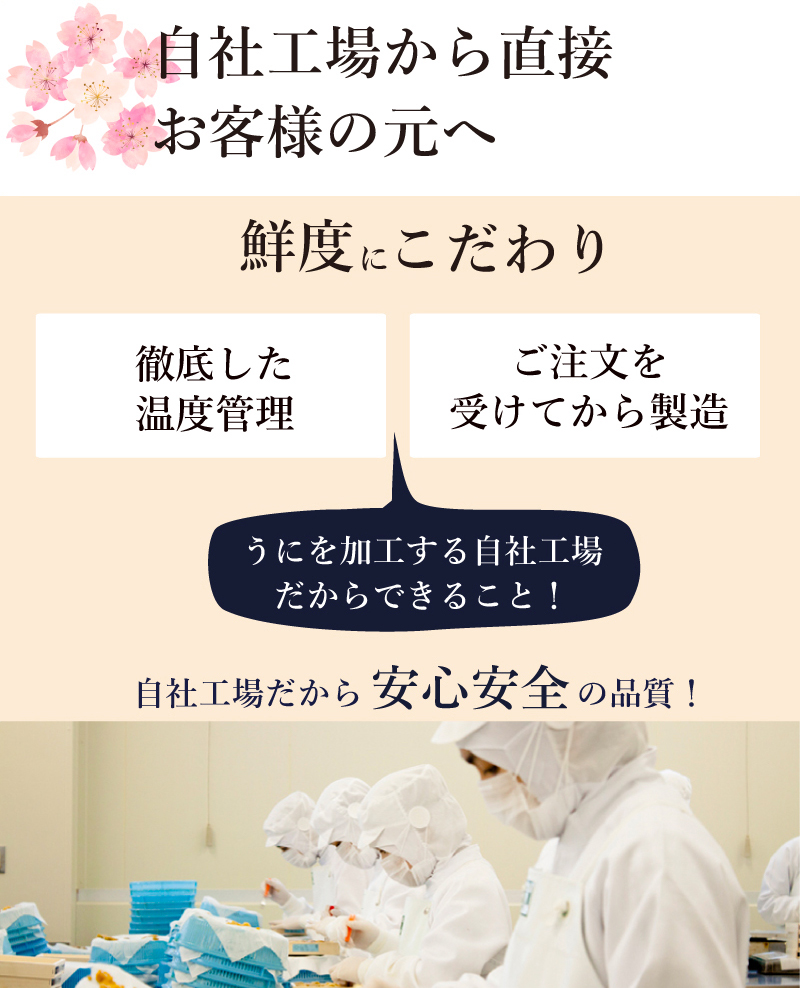 生ウニB品４本‼︎ 夏ギフト』旬到来‼︎天然濃厚生うに‼︎《5枚セット！数量限定