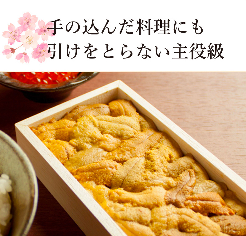 無添加生うに木箱80g B級品