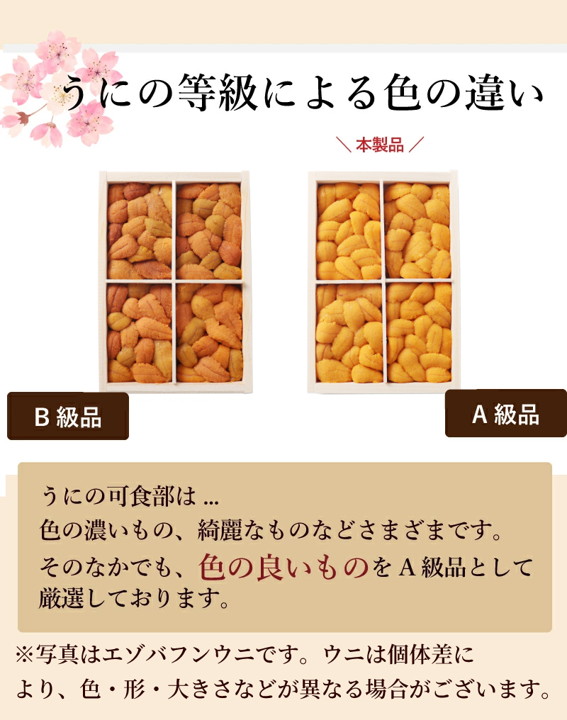 うにの等級による色の違い