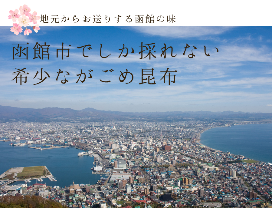 地元からお送りする函館の味 函館市でしか採れない希少ながごめ昆布