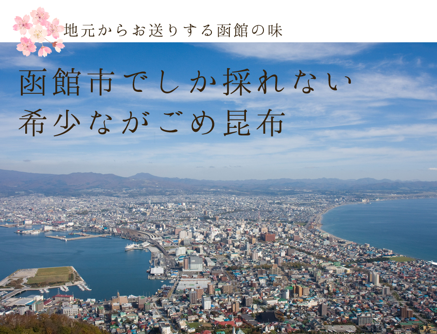 地元からお送りする函館の味　函館市でしか採れない希少ながごめ昆布