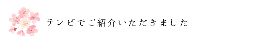 テレビでご紹介いただきました