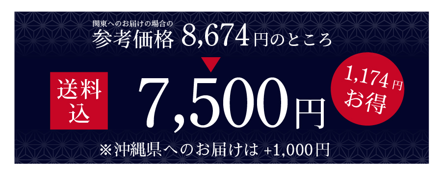 送料込特別価格