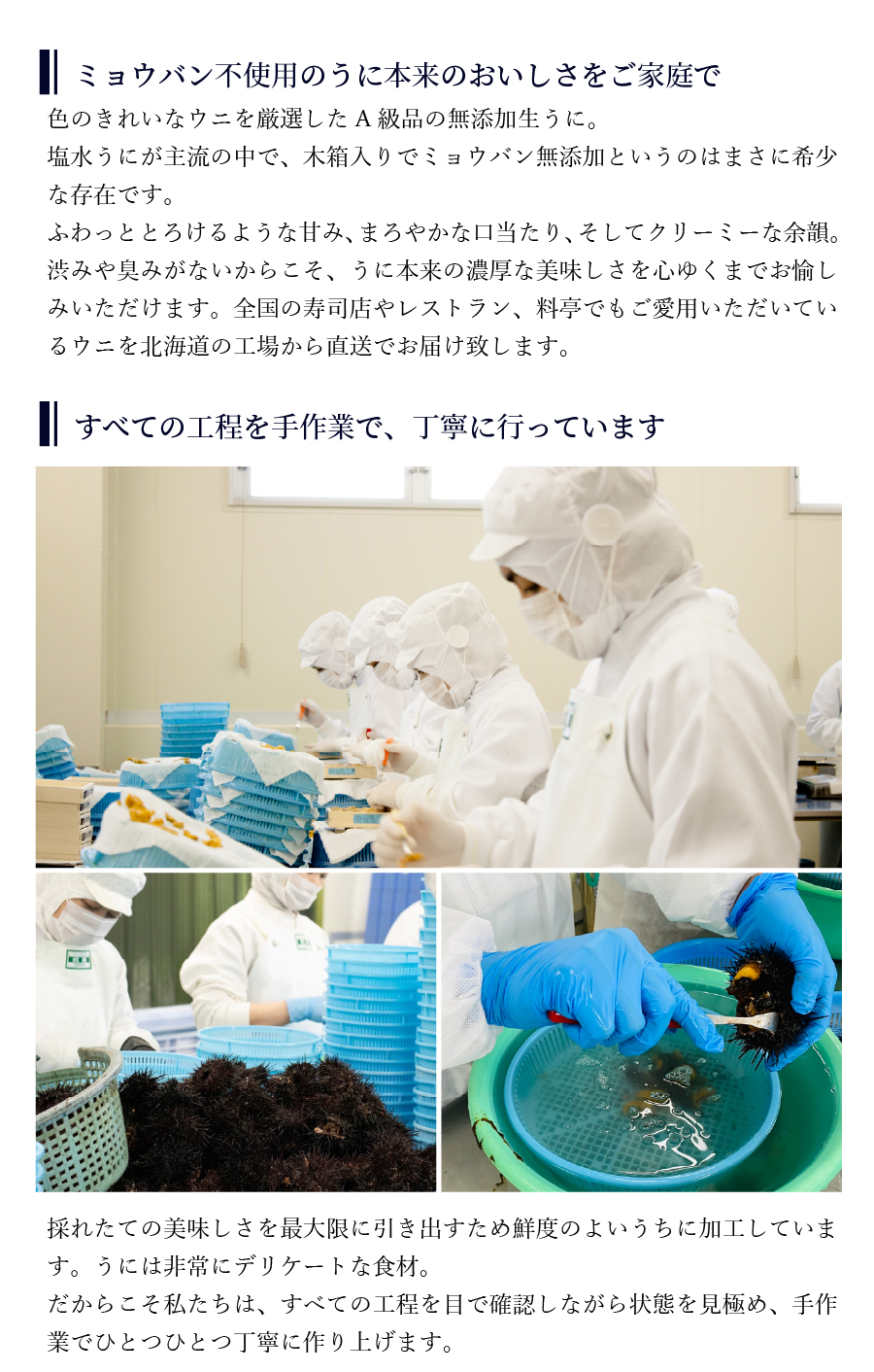 無添加生うにの紹介