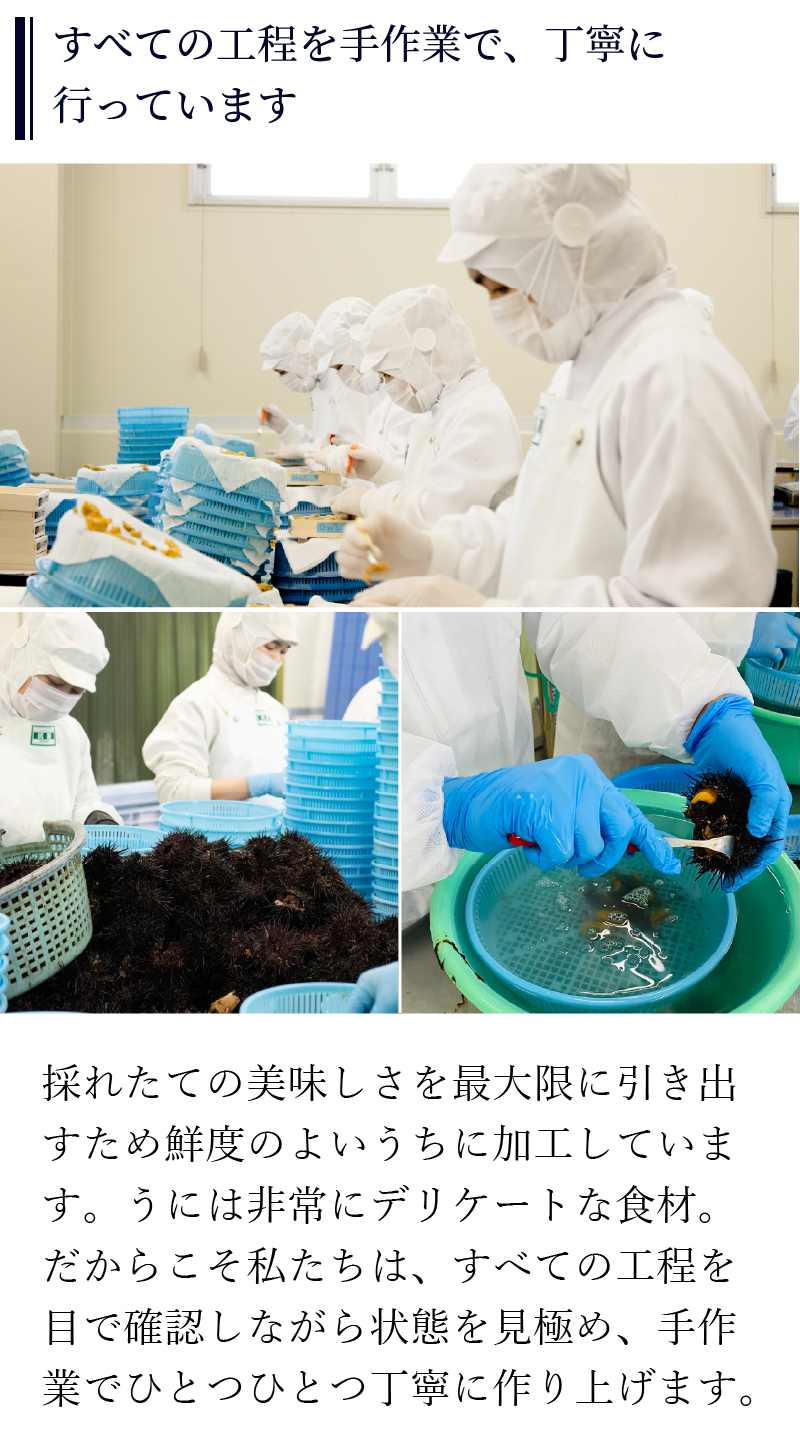 無添加生うにの説明
