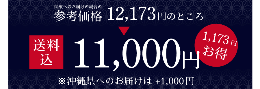 送料込特別価格