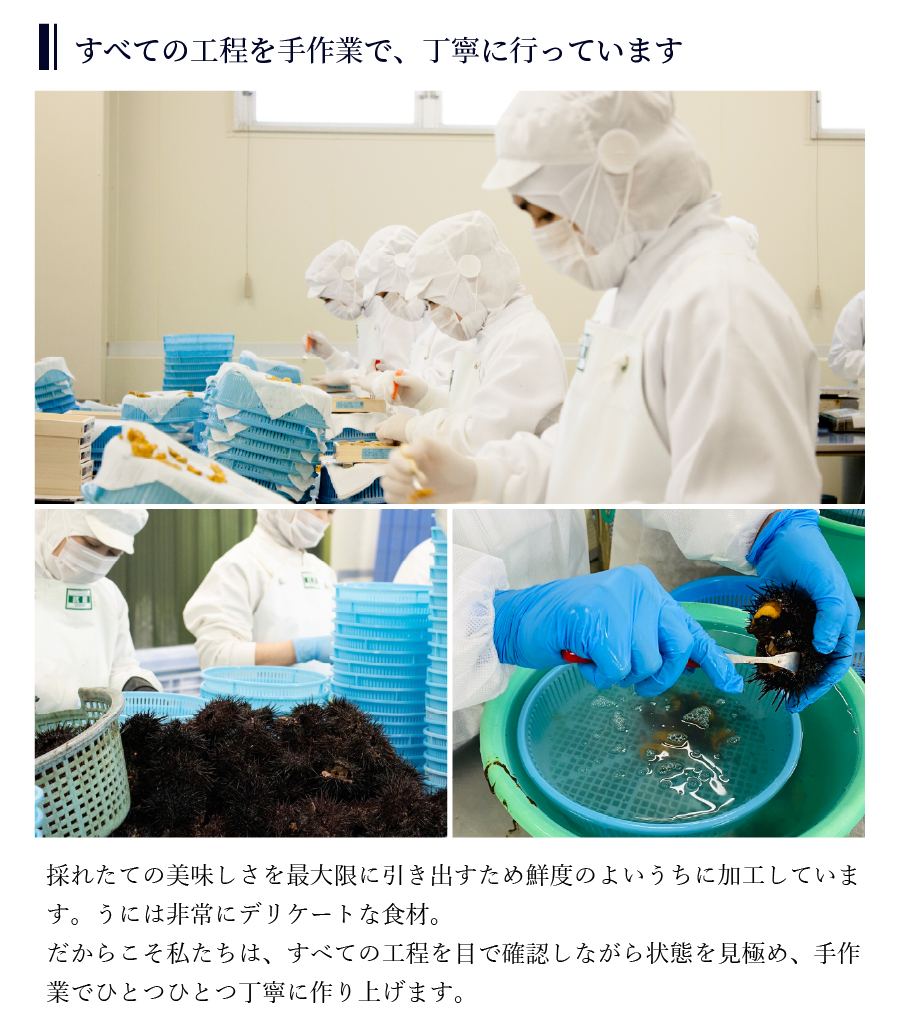 無添加生うにの紹介
