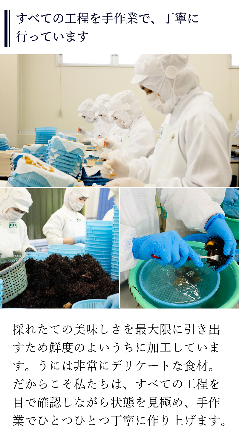 無添加生うにの説明