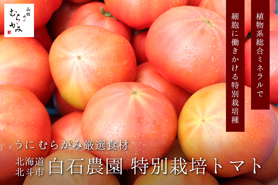 植物系総合ミネラルで細胞に働きかける特別栽培種 うにむらかみ厳選食材 北海道北斗市白石の応援 特別栽培トマト