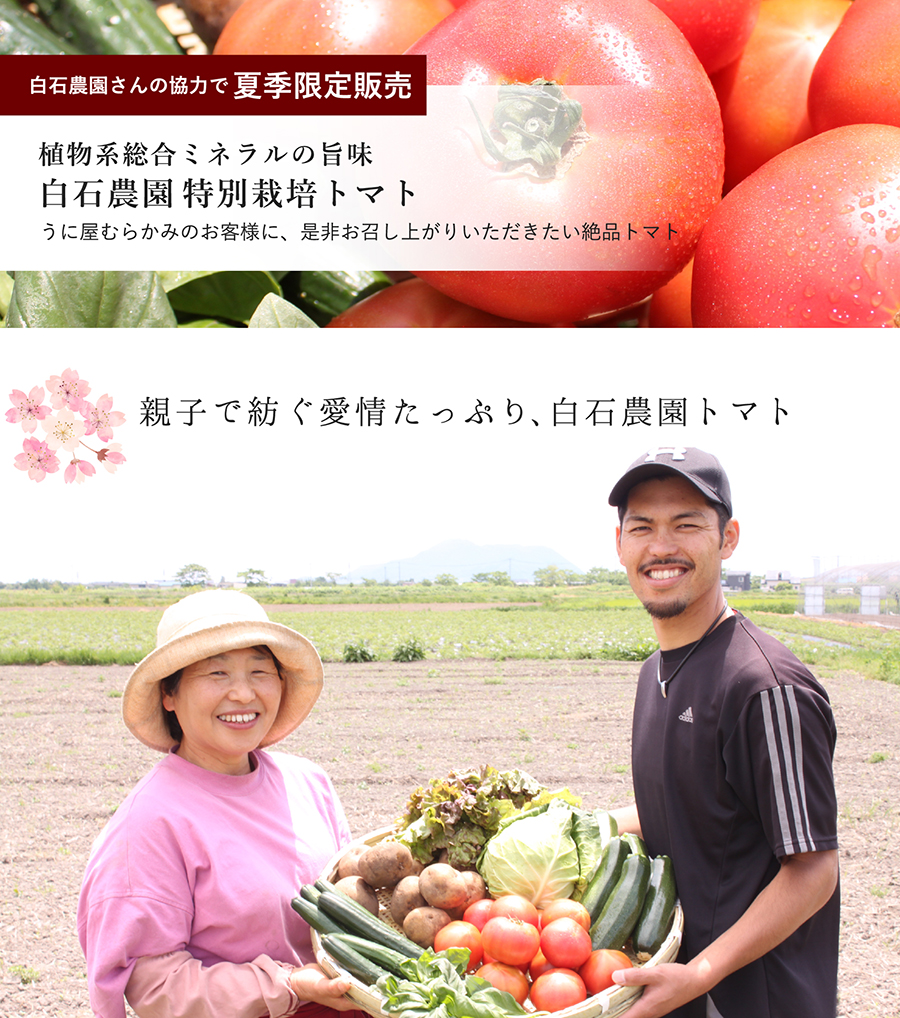白石農園さんの協力で夏季限定販売 植物系総合ミネラルの旨味 白石農園特別栽培トマト