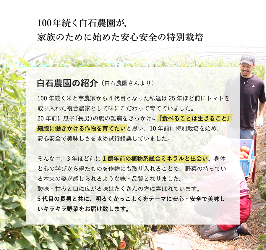 100年続く白石農園が、家族のために始めた安心安全の特別栽培