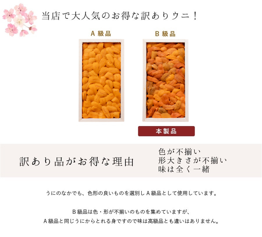 当店で大人気のお得な訳ありウニ！