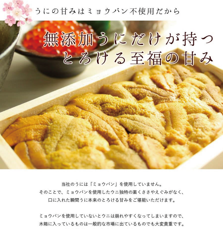 無添加生うに木箱150g B級品