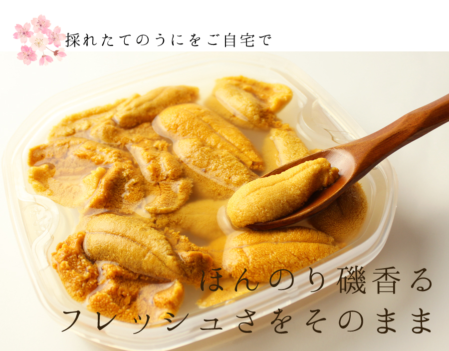 採れたてのうにをご自宅で　ほんのり磯香るフレッシュさをそのまま