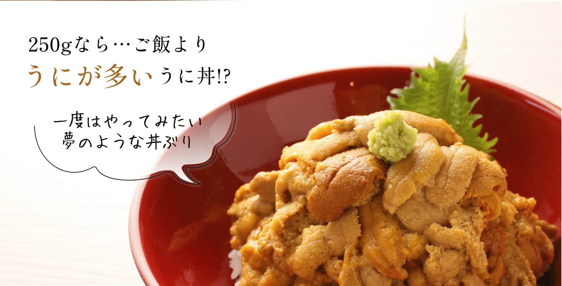 250gなら…ご飯よりうにが多いうに丼!?