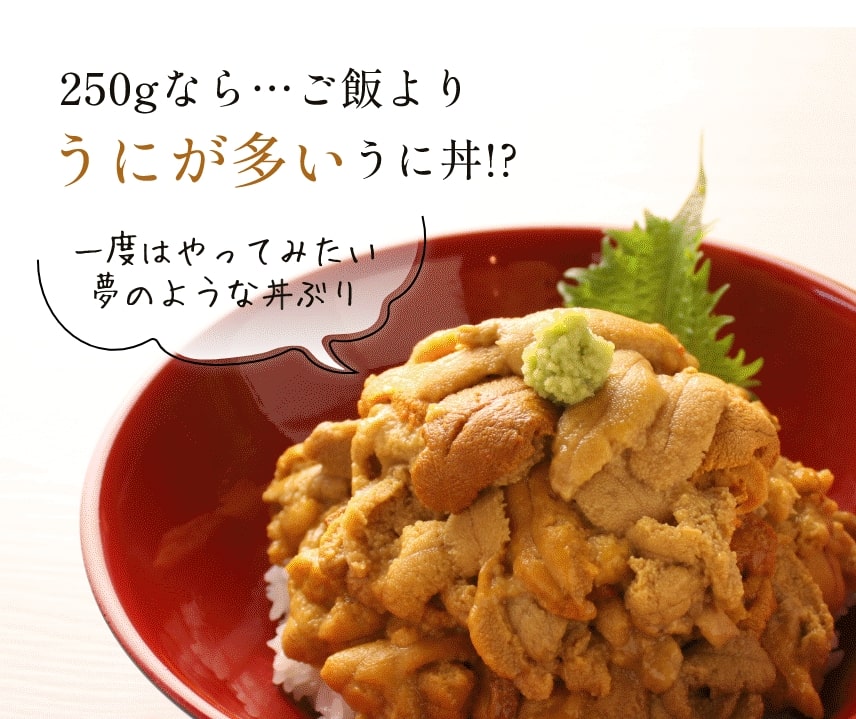 250gなら…ご飯よりうにが多いうに丼