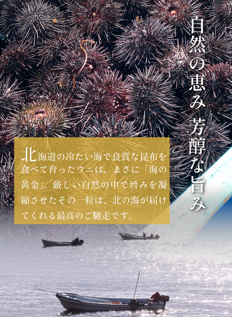 北海道の新鮮なウニ