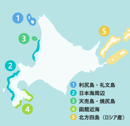 当店が入荷している北海道沿岸のうにの産地図