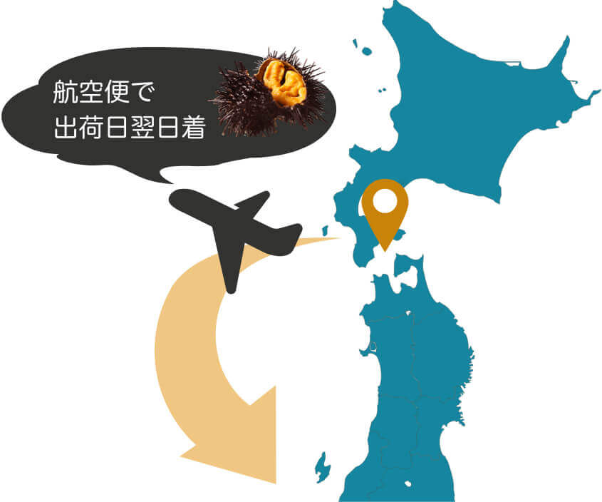 配送へのこだわり うに屋むらかみ