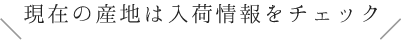 現在の産地は入荷情報をチェック