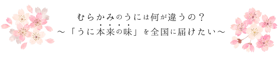 むらかみのうには何が違うの?
~「うに本来の味」を全国に届けたい~